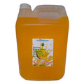 Kitchen & All Purpose Cleaner 5L